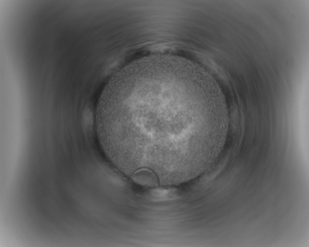 X0000115610375200911171153