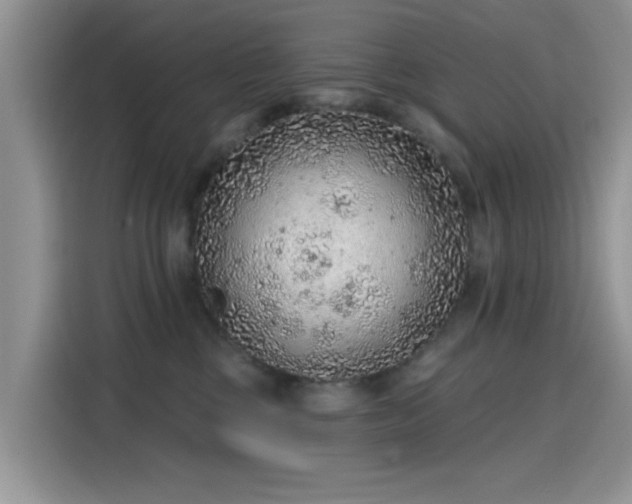 X0000115610377200911171153