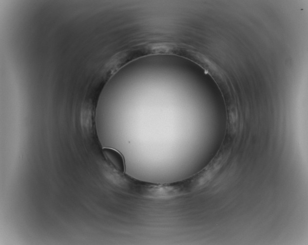 X0000115610379200911171153