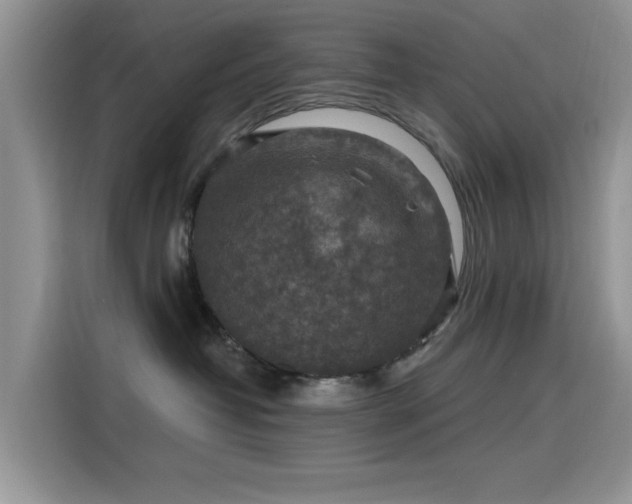 X0000115610382200911171153
