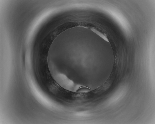 X0000115610383200911171153