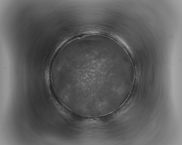 X0000115610386200911171152
