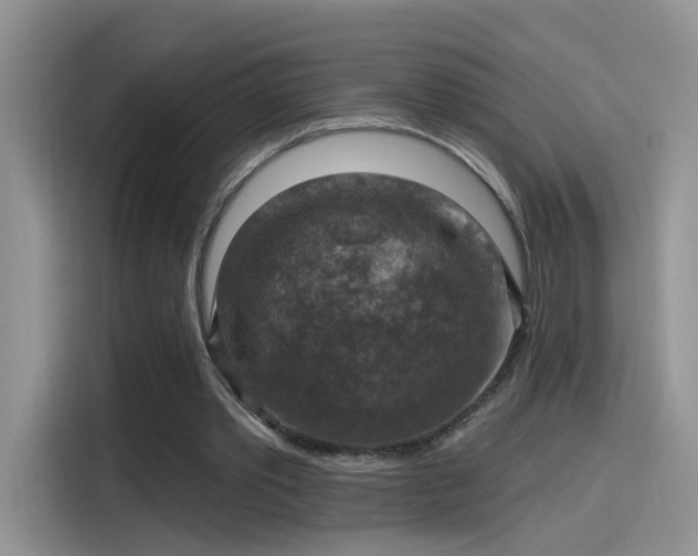 X0000115610389200911171152