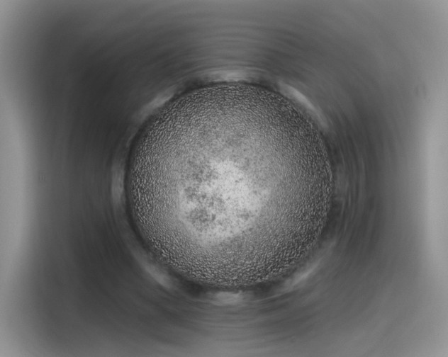 X0000115610394200911171152
