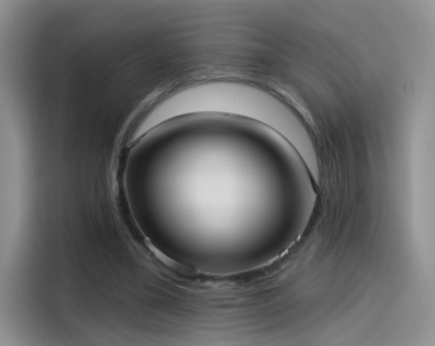 X0000115610395200911171152