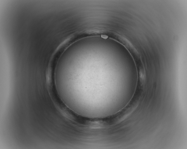 X0000115610396200911171152