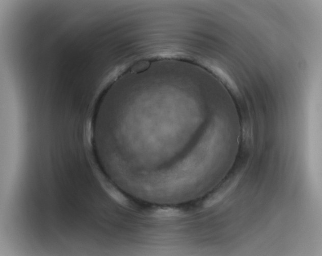 X0000115610397200911171152