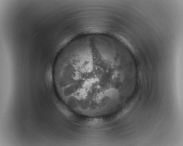 X0000115610398200911171152
