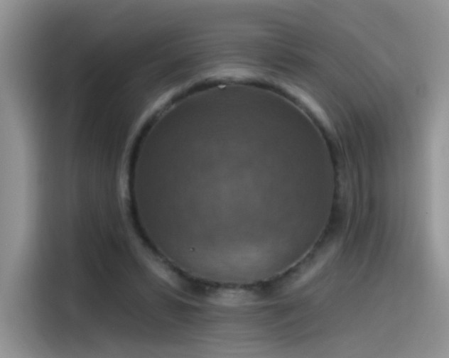X0000115610399200911171152