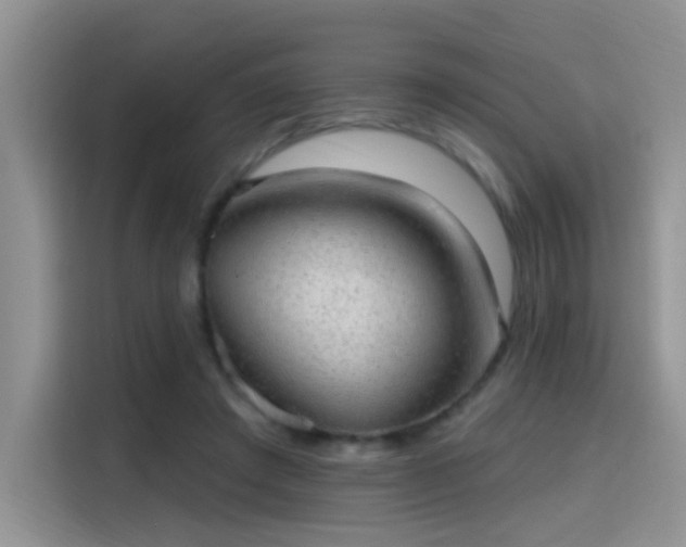 X0000115610401200911171152