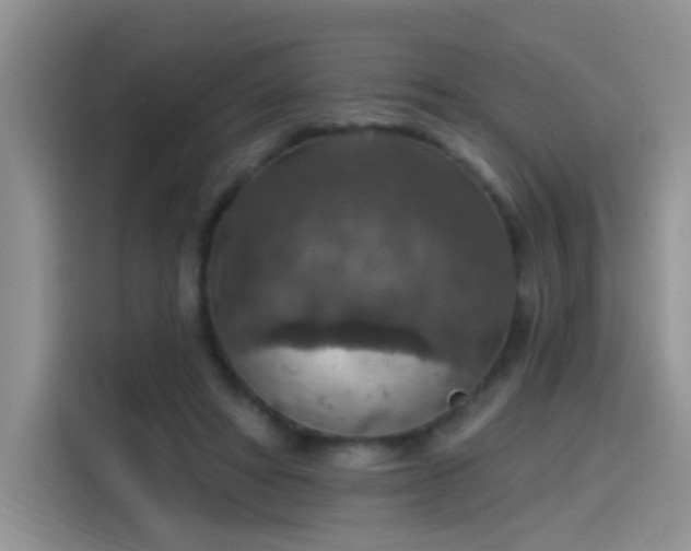 X0000115610402200911171152