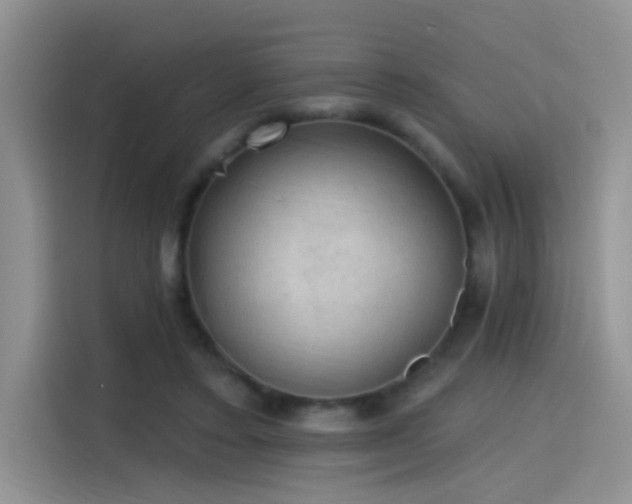 X0000115610403200911171152