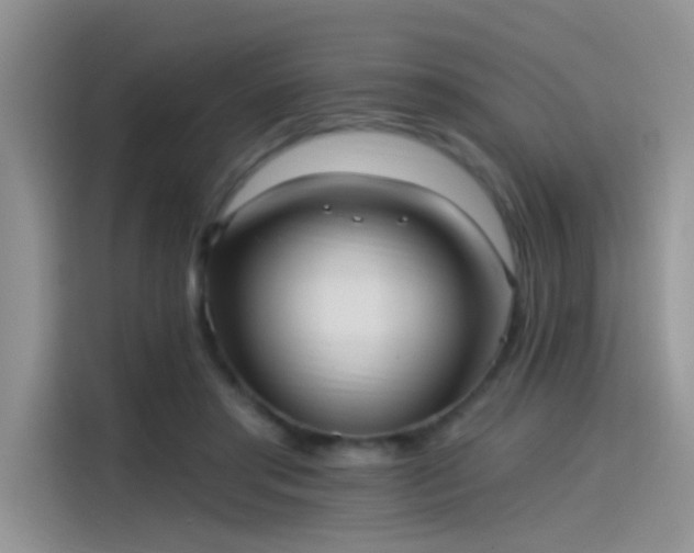 X0000115610405200911171152