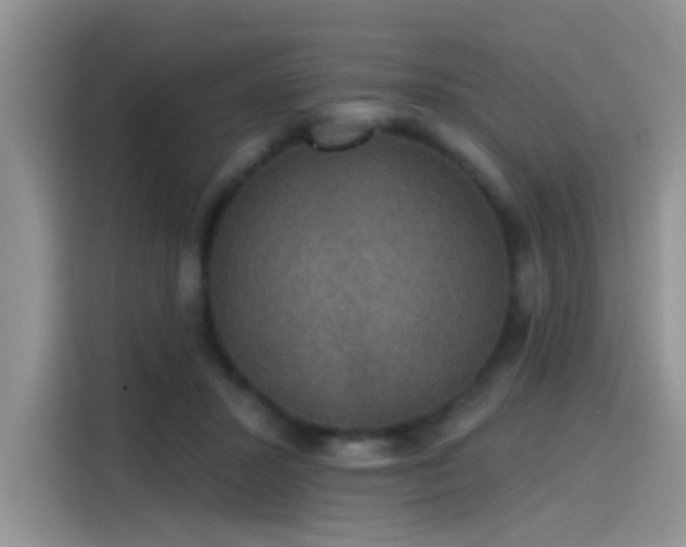 X0000115610407200911171152