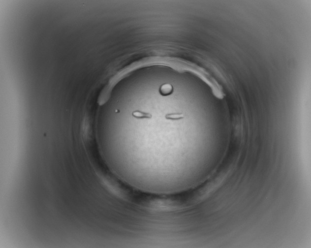 X0000115610408200911171152