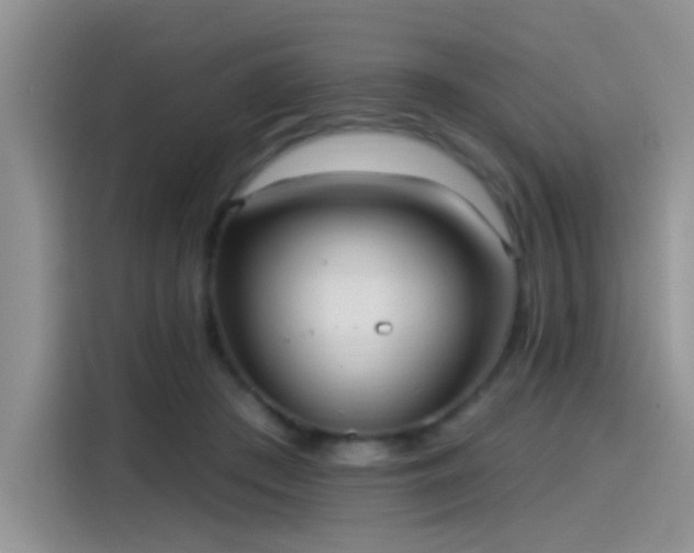 X0000115610409200911171152