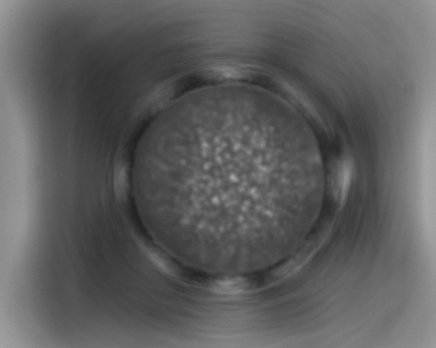 X0000115610410200911171152
