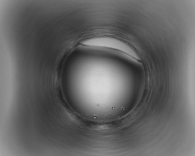 X0000115610411200911171152