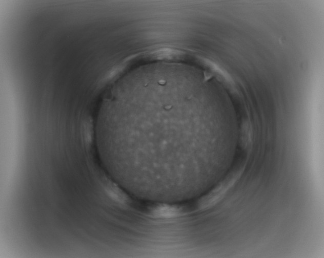 X0000115610413200911171152