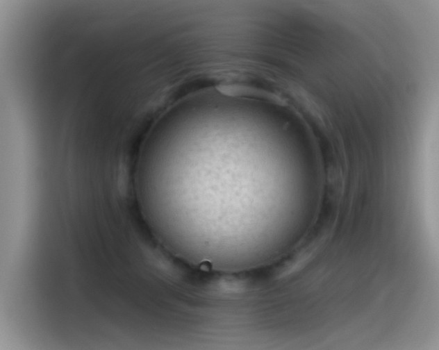 X0000115610416200911171152