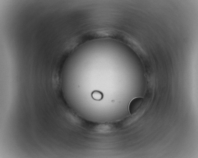 X0000115610418200911171152