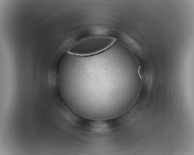 X0000115610421200911171152