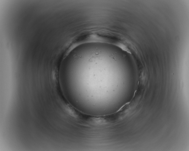 X0000115610424200911171152