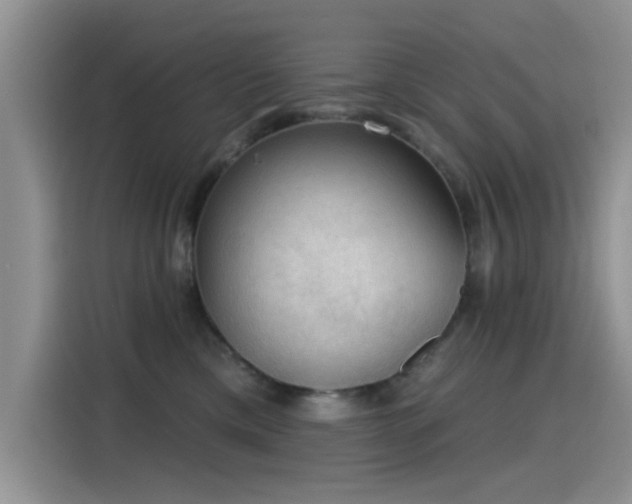 X0000115610425200911171152