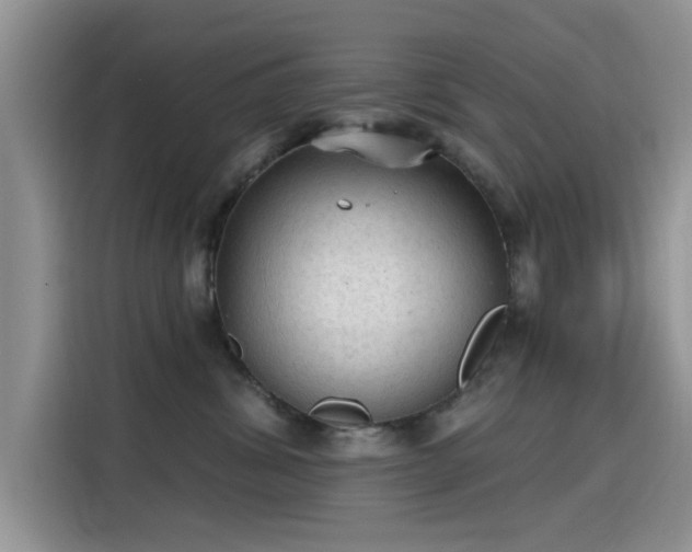 X0000115610428200911171152