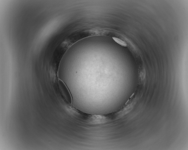 X0000115610429200911171152
