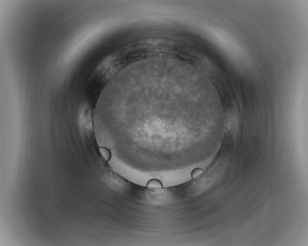 X0000115610431200911171152