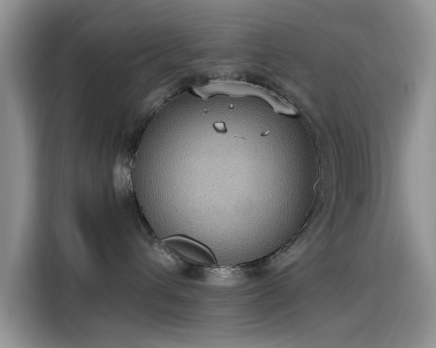 X0000115610432200911171152