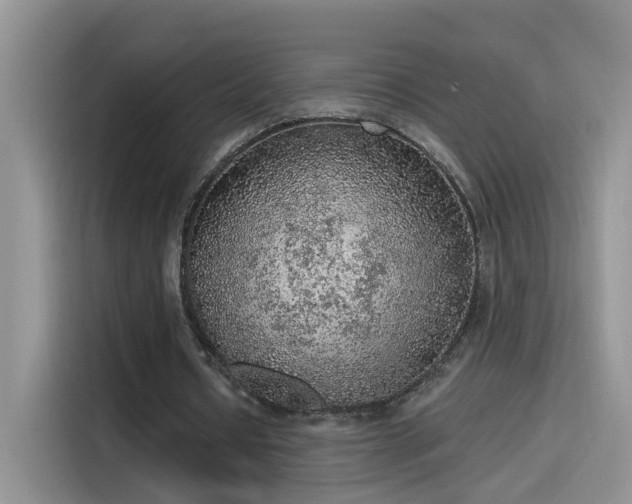 X0000115610434200911171151