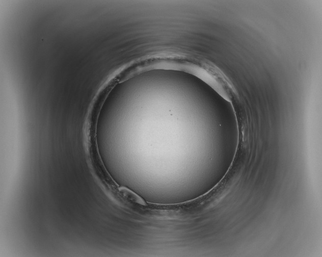X0000115610436200911171151