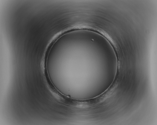 X0000115610438200911171151