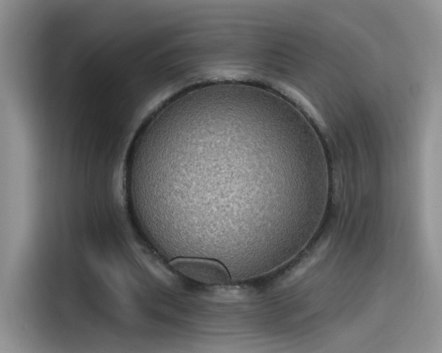 X0000115610439200911171151