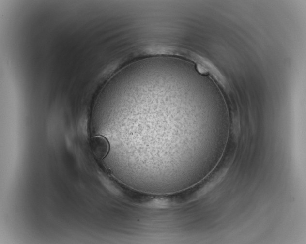 X0000115610441200911171151