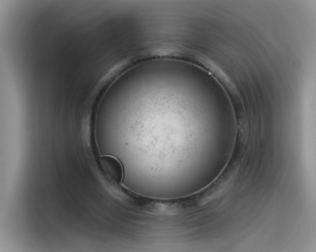 X0000115610442200911171151