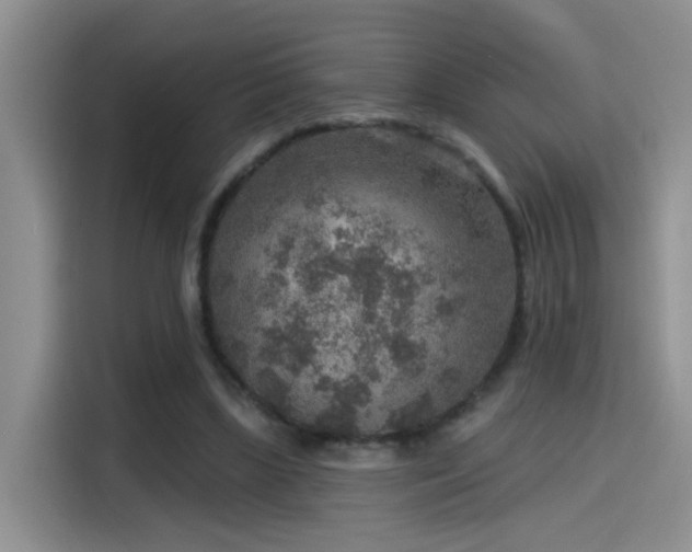 X0000115610443200911171151
