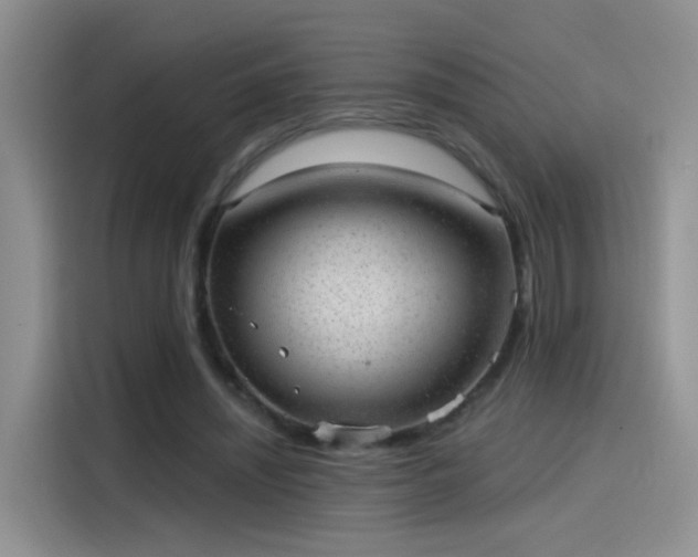 X0000115610444200911171151