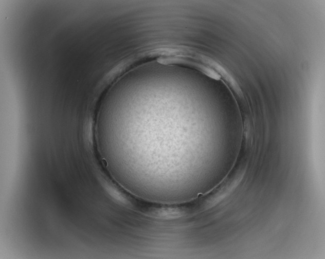 X0000115610445200911171151