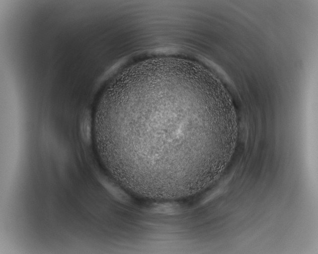 X0000115610446200911171151