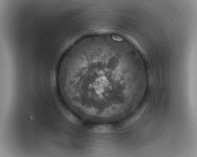 X0000115610447200911171151