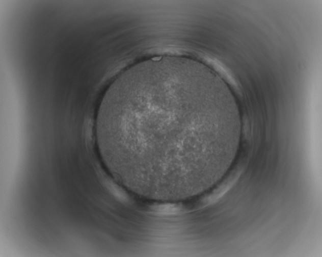 X0000115610449200911171151