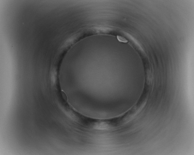 X0000115610451200911171151