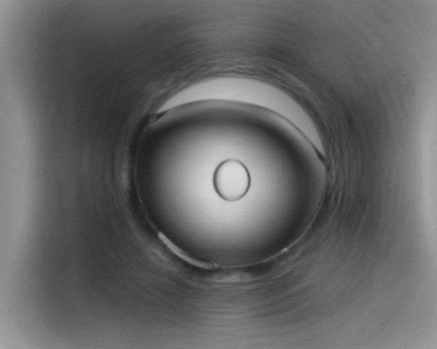 X0000115610452200911171151