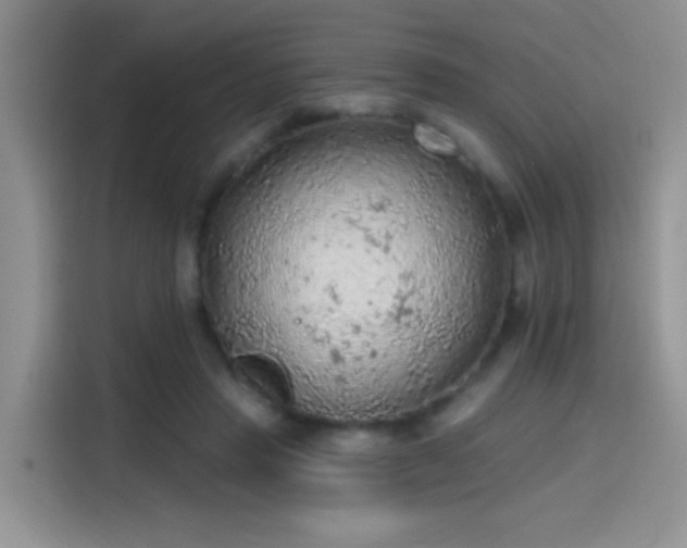 X0000115610453200911171151
