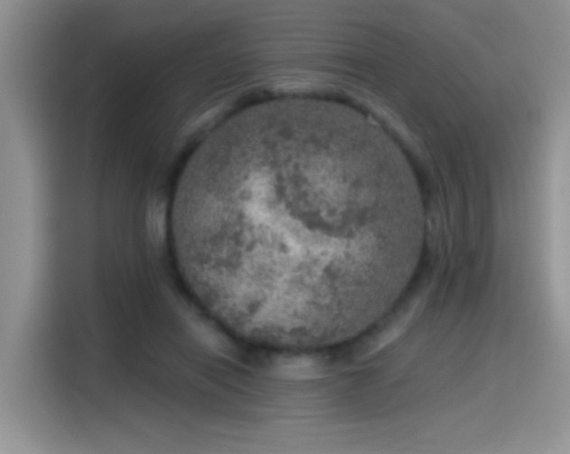 X0000115610454200911171151
