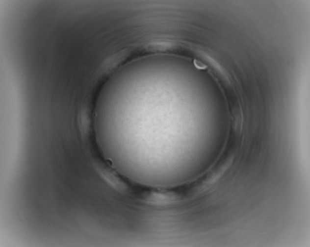 X0000115610455200911171151