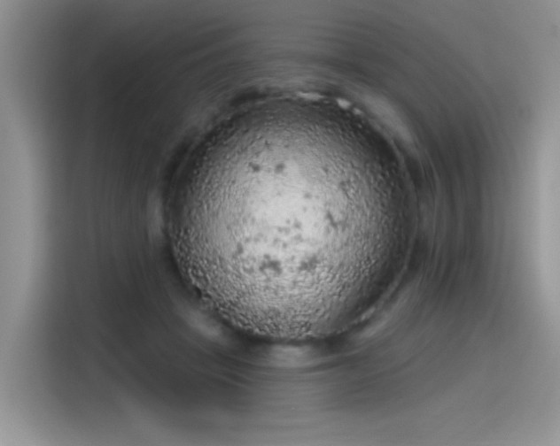 X0000115610457200911171151